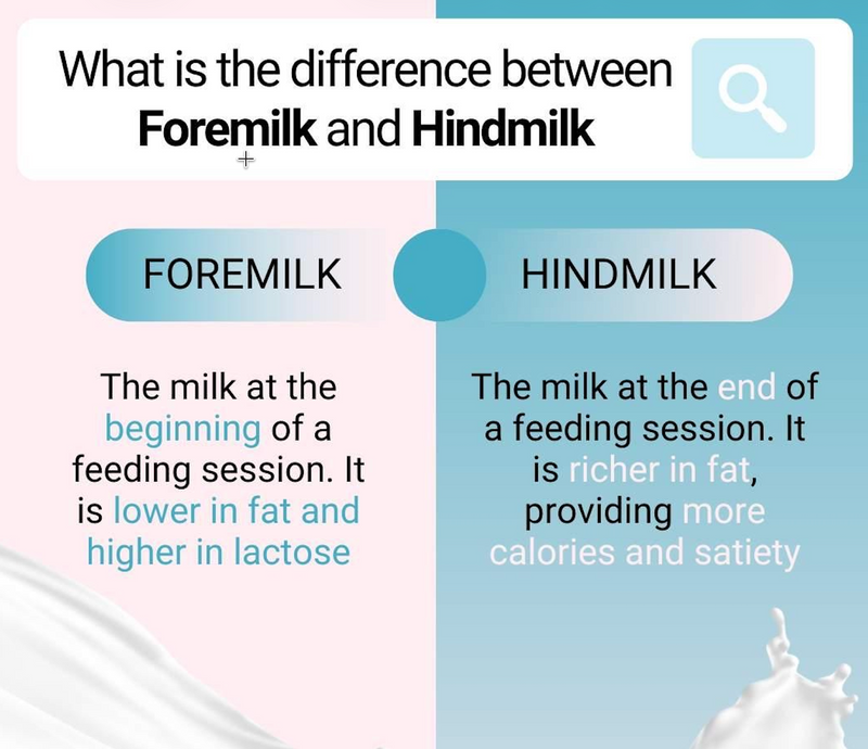 Foremilk vs. Hindmilk: What’s the Difference?