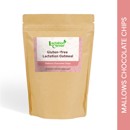 Lactation Instant Oatmeal (Best Seller)